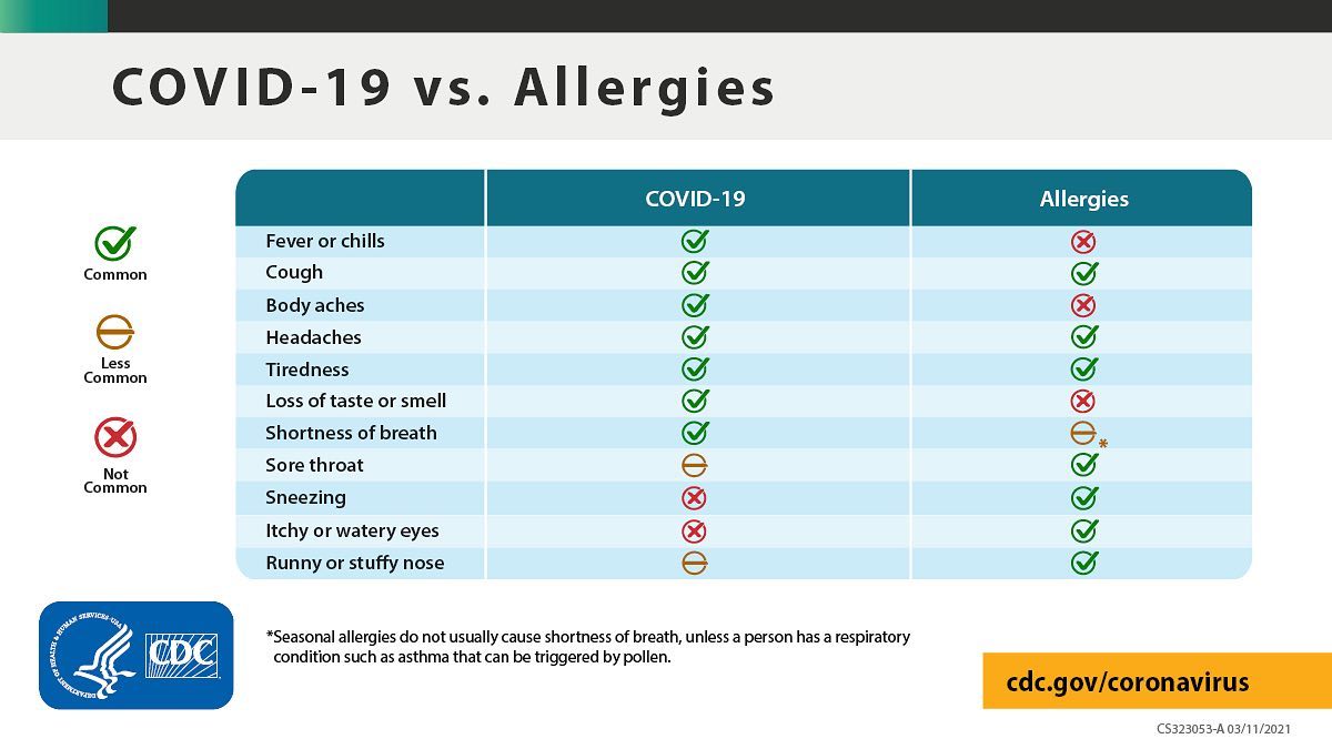 covid or allergies chart
